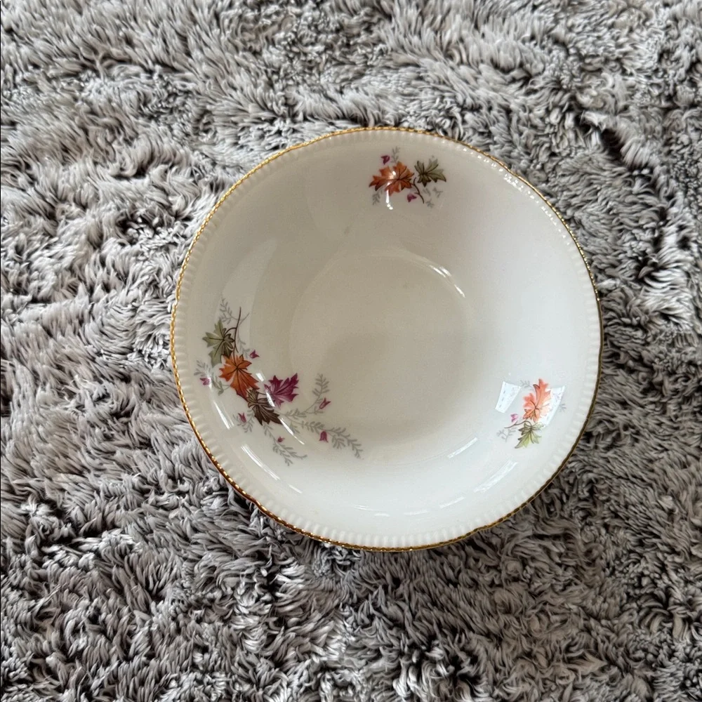 Winterling Bavaria Germany Autumn Leaves Set of 4 Fruit Dessert Bowls 5.5